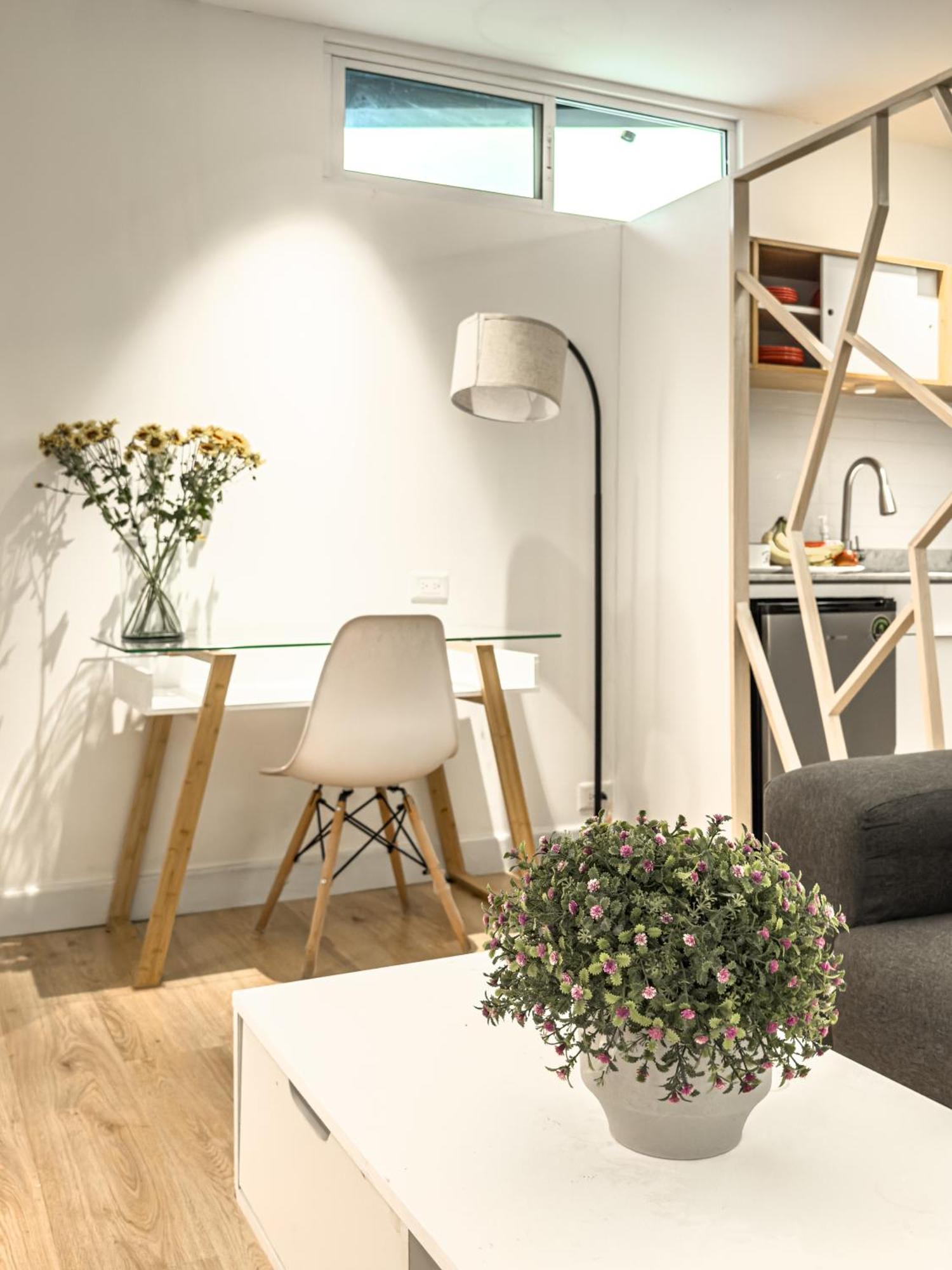 Cute Quiet Studio, Smart Tv, Six Flags 1 Km Μεξικό Εξωτερικό φωτογραφία